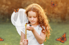 Досліджуємо світ комах: креативні завдання для дітей