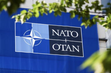 Фахівці НАТО розпочали інституційний аудит системи військової освіти України