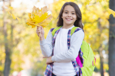 Навчальний рік розпочався для 3 млн 480 тисяч школярів