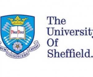 Вебінар з інновацій "Innovate or Die! Як відкриті інновації можуть допомогти Вам у кризові часи"