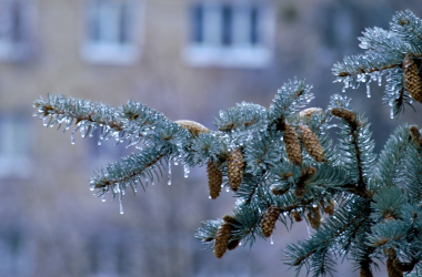 Столичним школярам продовжать зимові канікули до 1 лютого