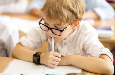 МОН частково виконало рекомендації щодо навчання учнів за кордоном