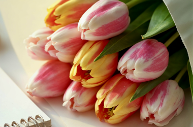 Профспілка пропонує святкувати 8 Березня без традиційних букетів