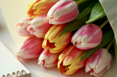 Профспілка пропонує святкувати 8 Березня без традиційних букетів